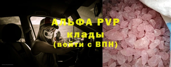 ГАЛЛЮЦИНОГЕННЫЕ ГРИБЫ Абаза