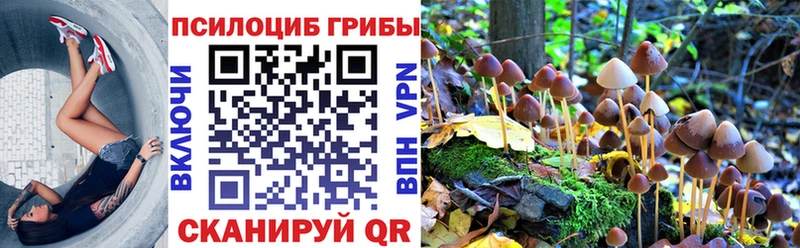 Псилоцибиновые грибы Psilocybine cubensis Новое Девяткино